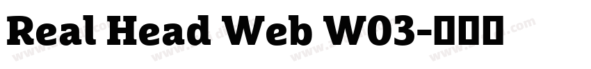 Real Head Web W03字体转换